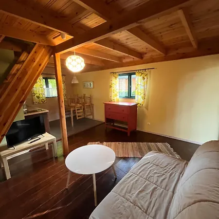 Avalon * 波别罗沃